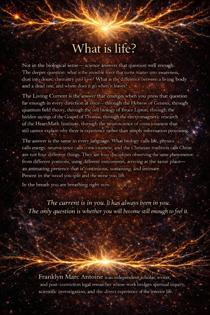 The Living Current, back cover: What is life?